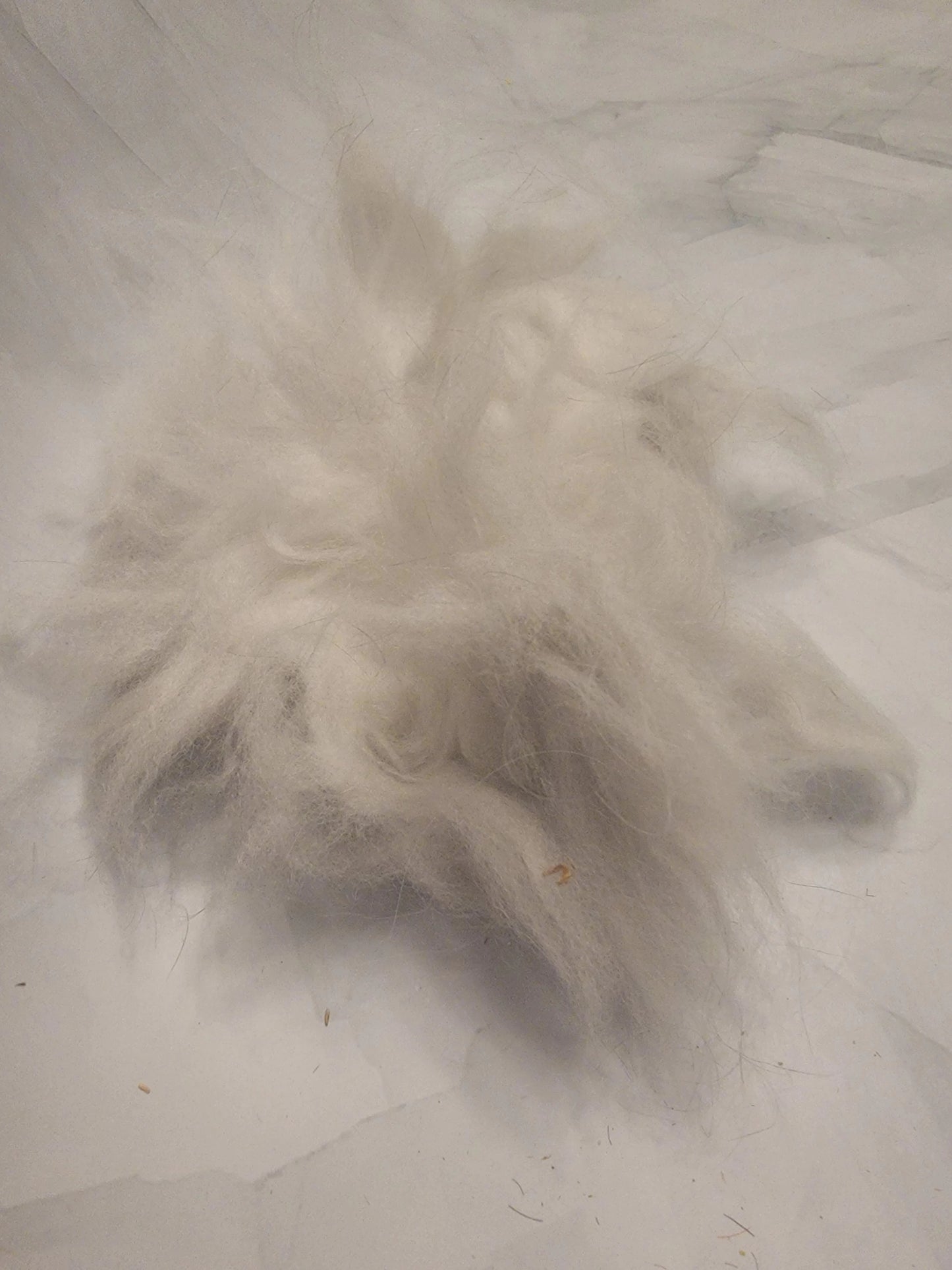 Blue English Angora Fiber