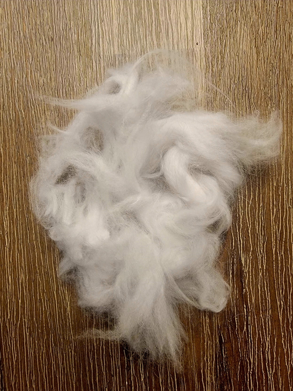 Blue English Angora Fiber